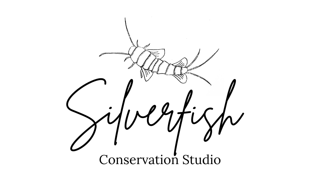 Silverfish Conservation Studio